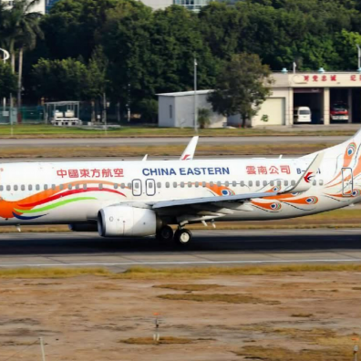 波音737-800 东航云南公司 MU5735事故机